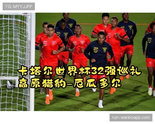 厄瓜多尔2026世界杯阵容预测：高原之鹰能否再现黑马本色
